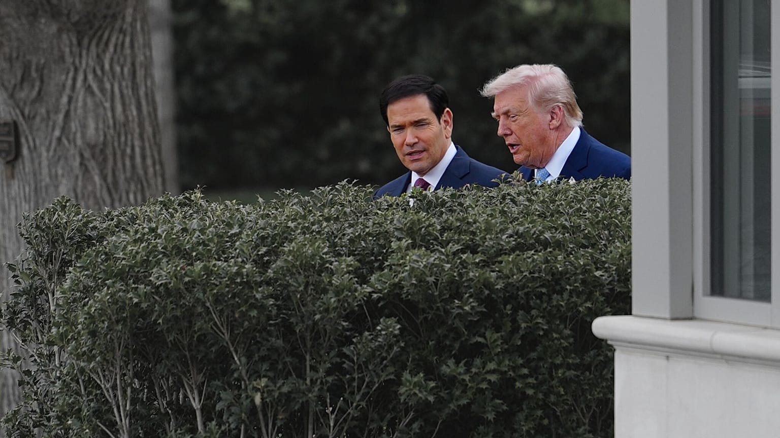 ترامپ و روبیو