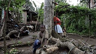 São Tomé-et-Principe : la culture du cacao au cœur d’un programme de restauration forestière
