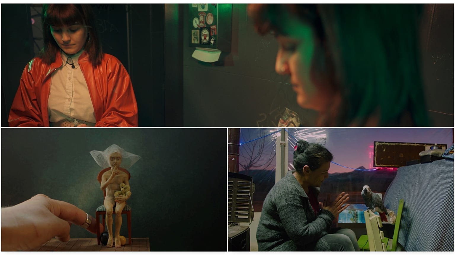 Διαγωνιστικό τμήμα Newcomers