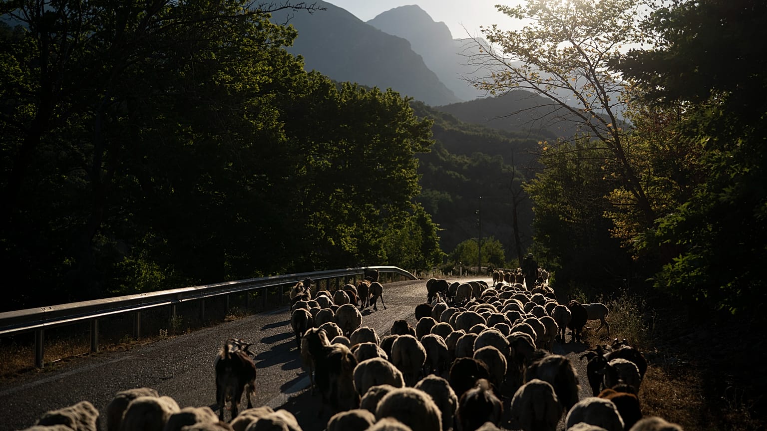 Φωτό αρχείου