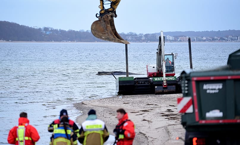 I volontari si radunano sulla spiaggia vicino a una balena arenata, in vista di un nuovo tentativo di salvataggio a Timmendorfer Strand, in Germania, giovedì 26 marzo 2026.