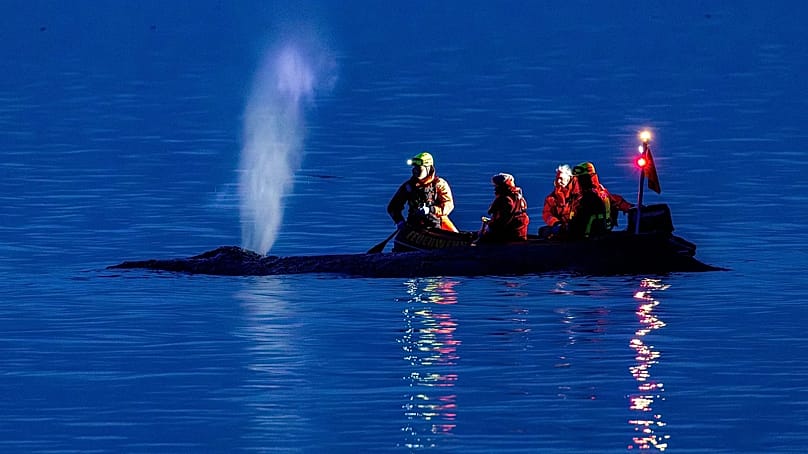 Rettungskräfte versuchen, einen an der Ostseeküste gestrandeten Wal in der Nähe von Timmendorfer Strand, Deutschland, wieder ins tiefe Wasser zu bringen, Montag, 23. März 2026. 