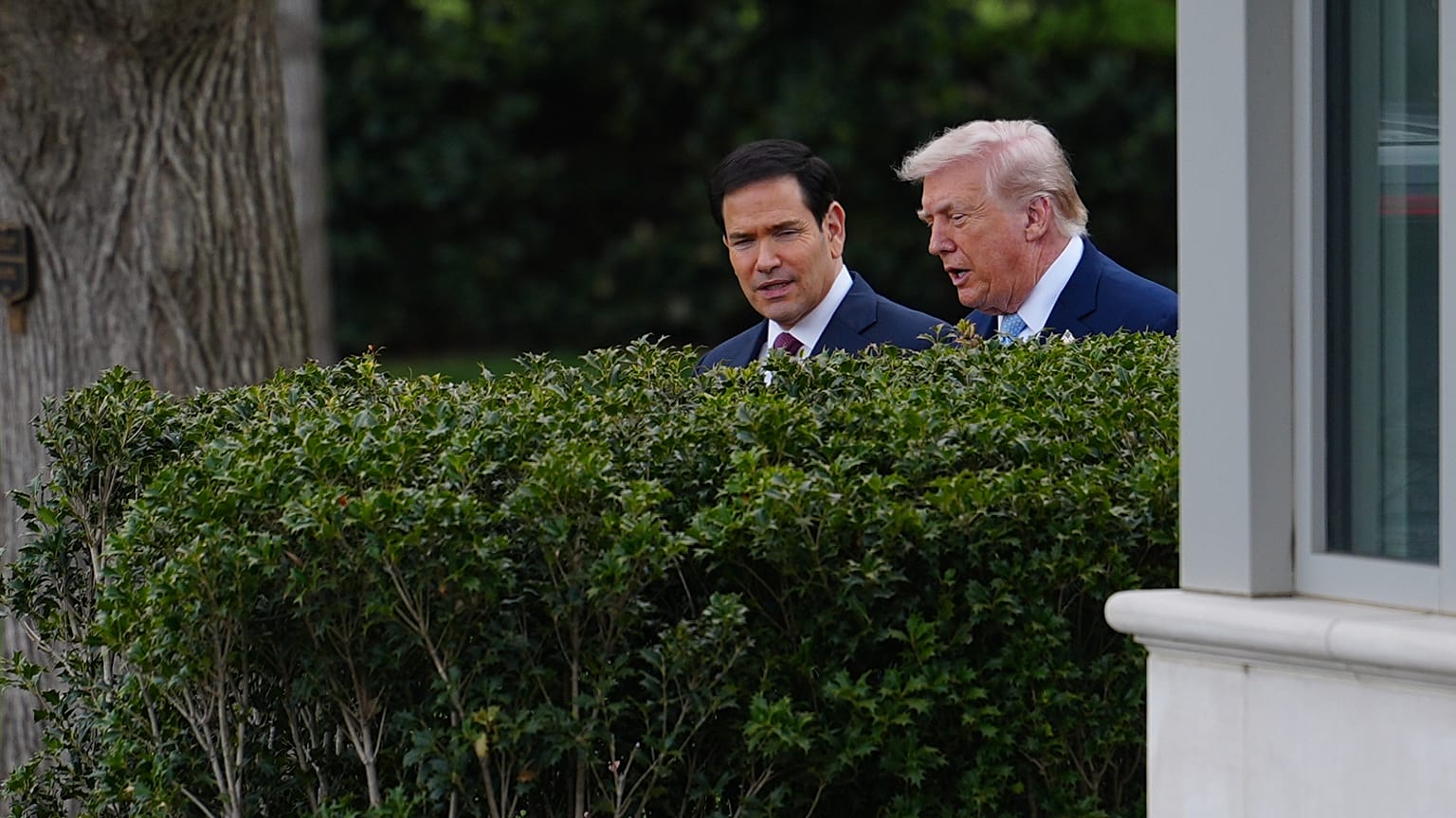 Marco Rubio ve Donald Trump