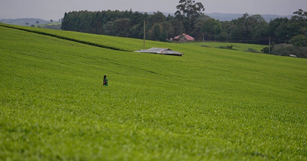 Mass grave of 32 Bodies, including children, discovered in Kenya