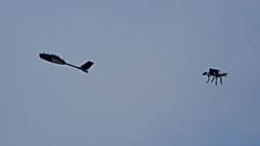 Łowca dronów przechwytuje drona-cel podczas ćwiczeń w szkole bezzałogowych systemów powietrznych Jatagan w obwodzie kijowskim na Ukrainie, w czwartek 19 marca 2026 r.