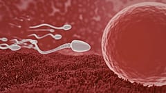 Η τακτική εκσπερμάτιση μπορεί να βελτιώσει τη γονιμότητα των ανδρών, σύμφωνα με μελέτη