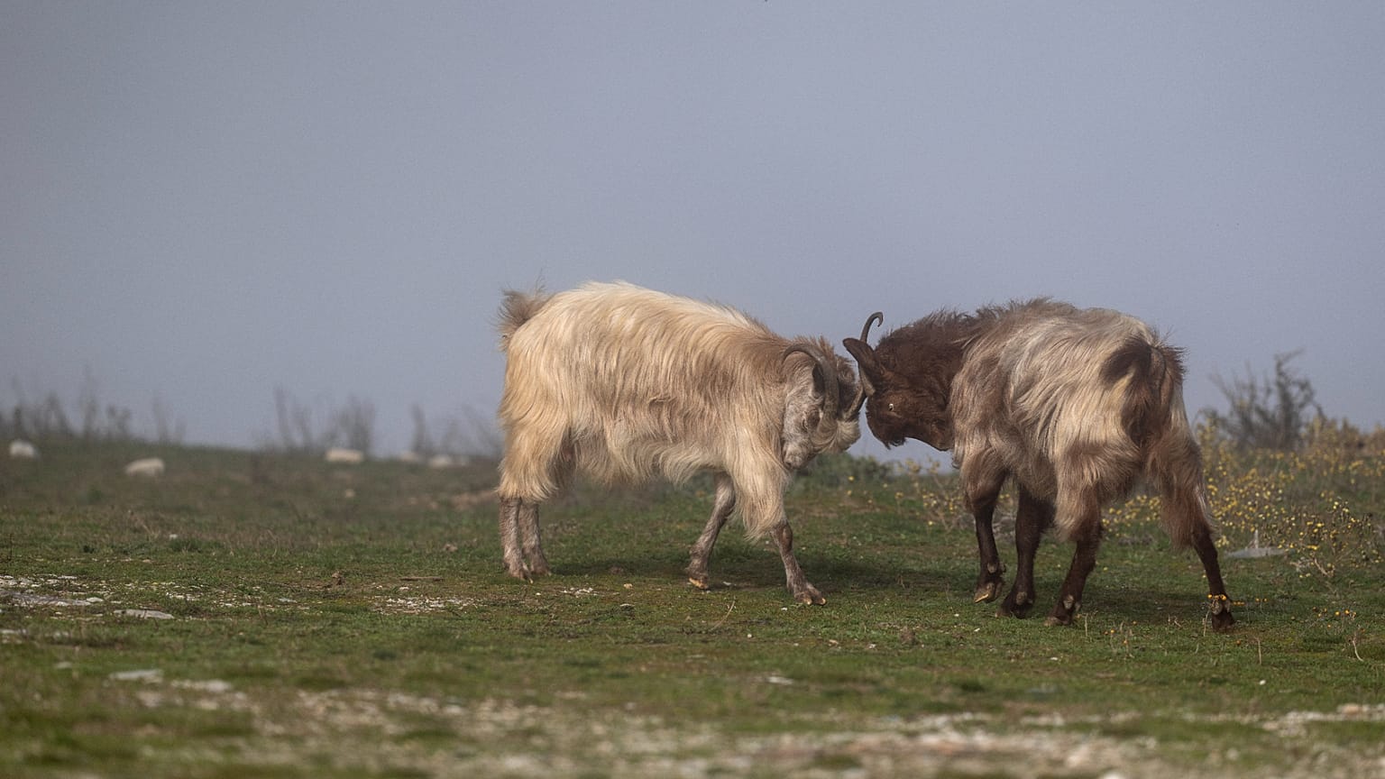 φωτό αρχείου