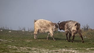 φωτό αρχείου