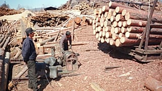 صورة أرشيفية-عمال من كوريا الشمالية يعملون في منشرة خشب في مخيم دزالينغرا في أقصى شرق روسيا