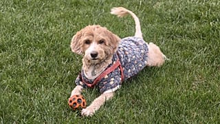 Arşiv görüntüsü