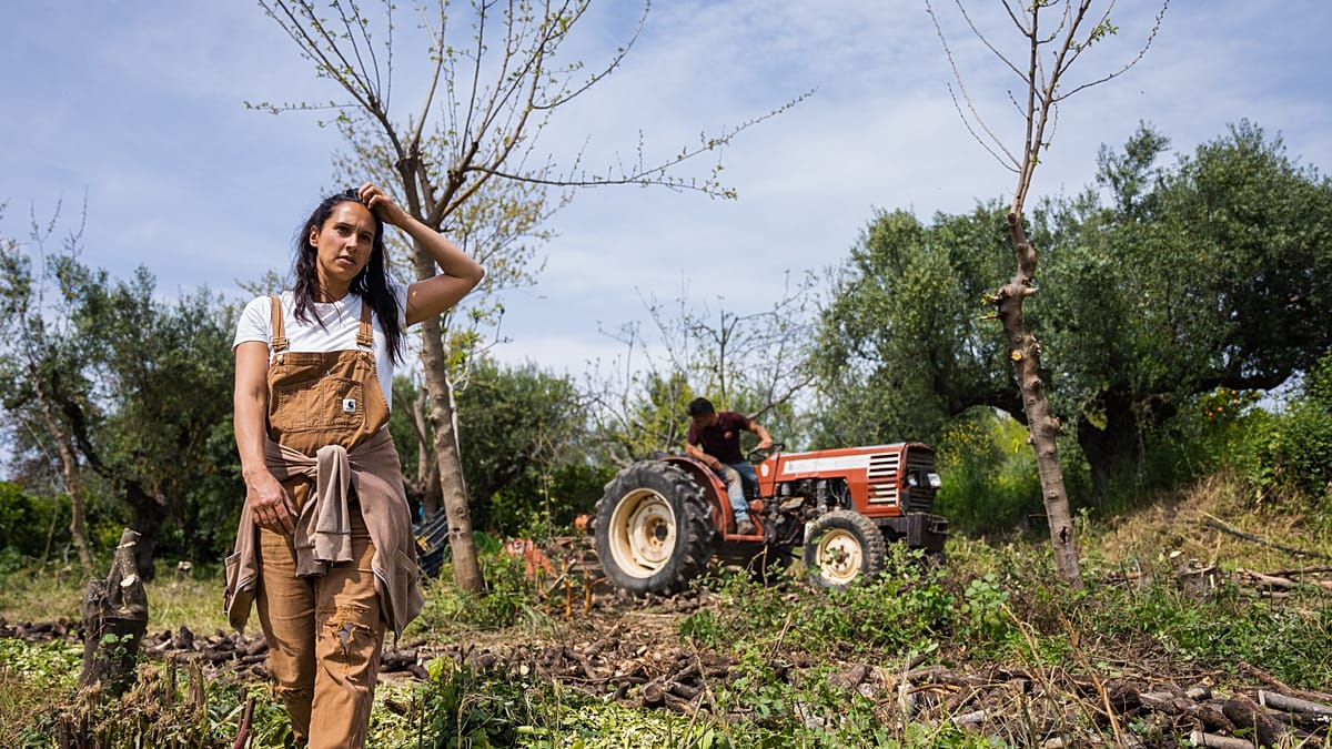 لماذا لا يتأثر بعض المزارعين الأوروبيين بأزمة الأسمدة؟