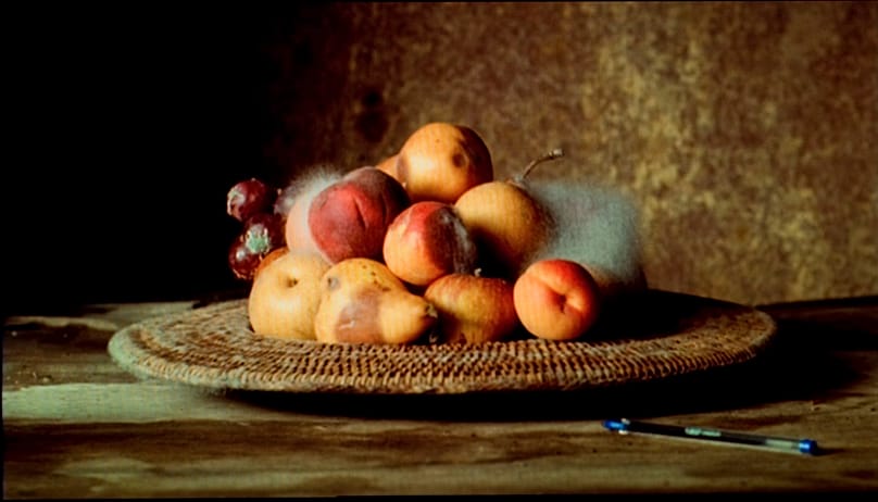 A still from Still Life, 2001, 35mm film/DVD, 3 minutes 44seconds