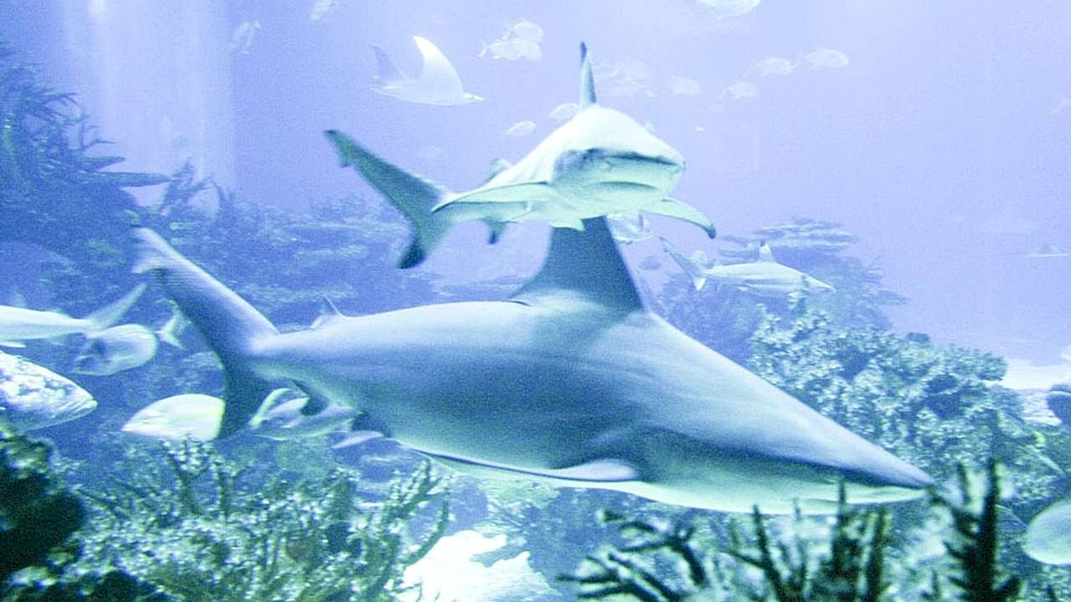 Arşiv görüntüsü.