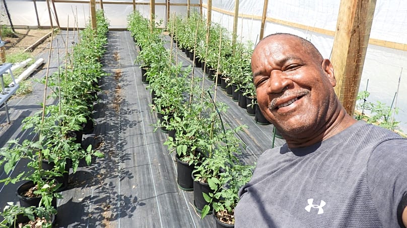 Onnie Emerenciana baut auf Bonaire Gemüse an.