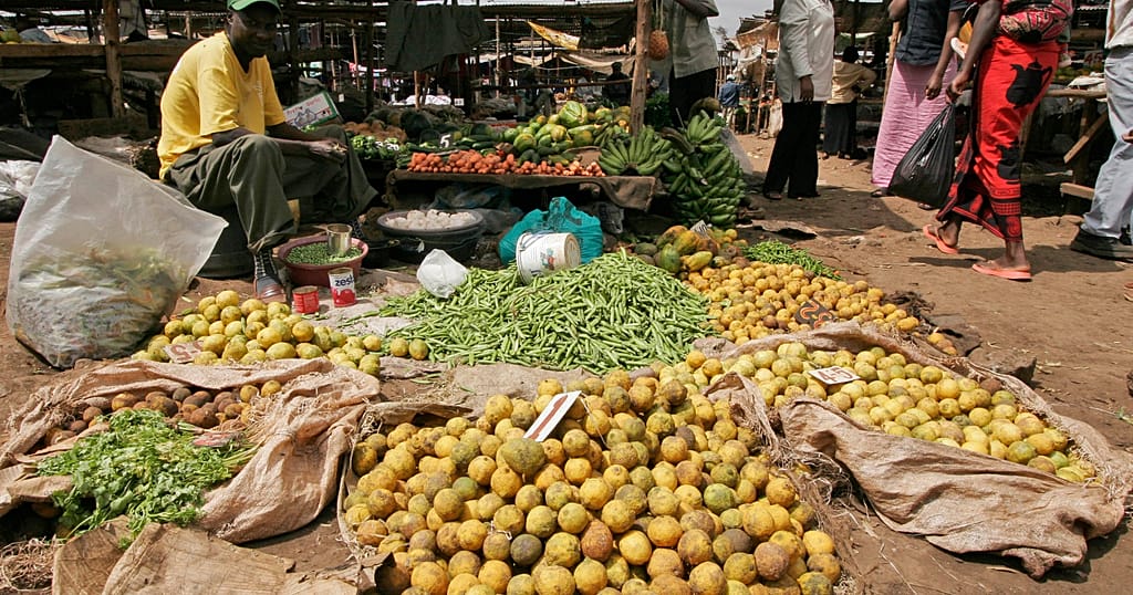 Kenya’s "wastepreneurs" turn food waste into opportunity