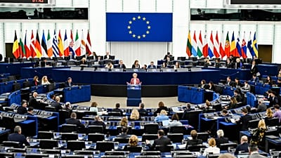 Ambassador of the European Citizens' Initiative presents instrument on Europe Day 