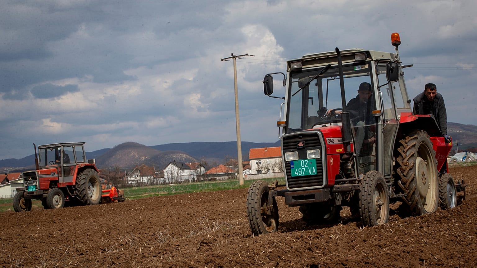 A Pestova cég mezőgazdasági munkásai egy traktorral burgonyát ültetnek Pestove faluban, Koszovóban, 2026. március 26-án