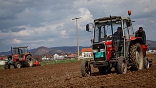 A Pestova cég mezőgazdasági munkásai egy traktorral burgonyát ültetnek Pestove faluban, Koszovóban, 2026. március 26-án