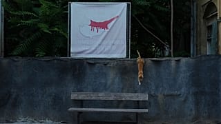 φωτό αρχείου