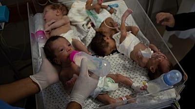 Premature babies evacuated from Gaza strip return to their parents