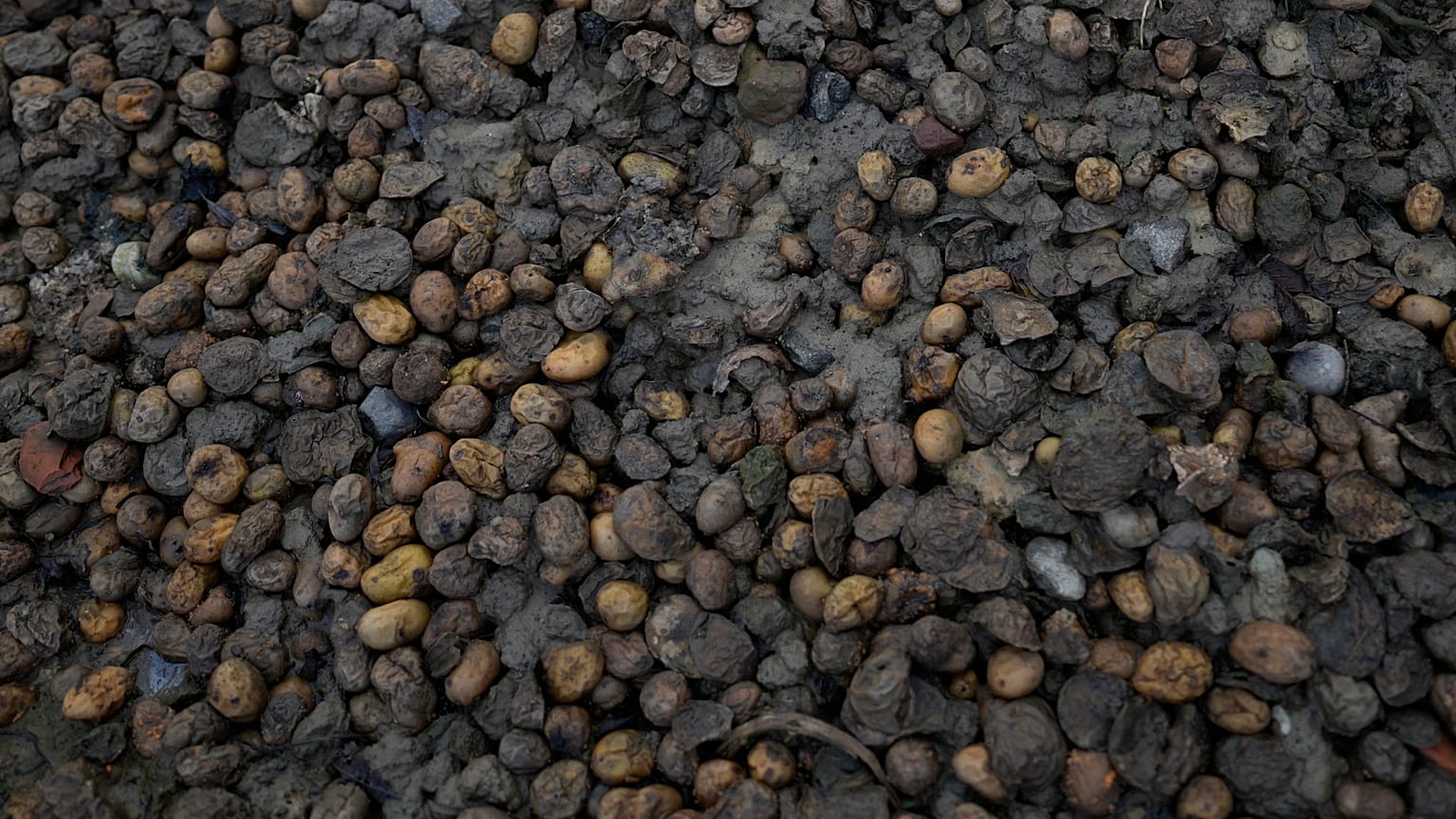 φωτό αρχείου