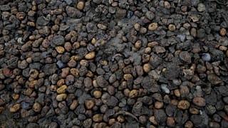 φωτό αρχείου