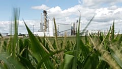 Auf diesem Archivbild vom 20. Juli 2013 steht eine Ethanolanlage neben einem Maisfeld nahe Nevada im US-Bundesstaat Iowa.