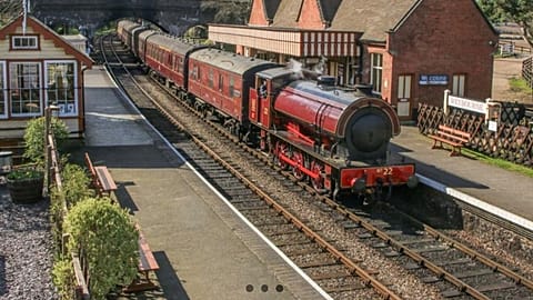 The 'Norfolk Fryer' train