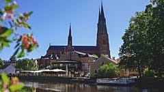 Dom von Uppsala