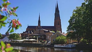 Uppsala Cathedral