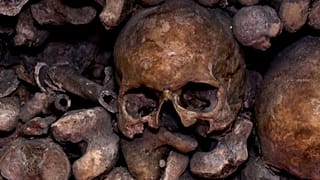 Teschi impilati nelle Catacombe di Parigi, Francia, 24 marzo 2026.