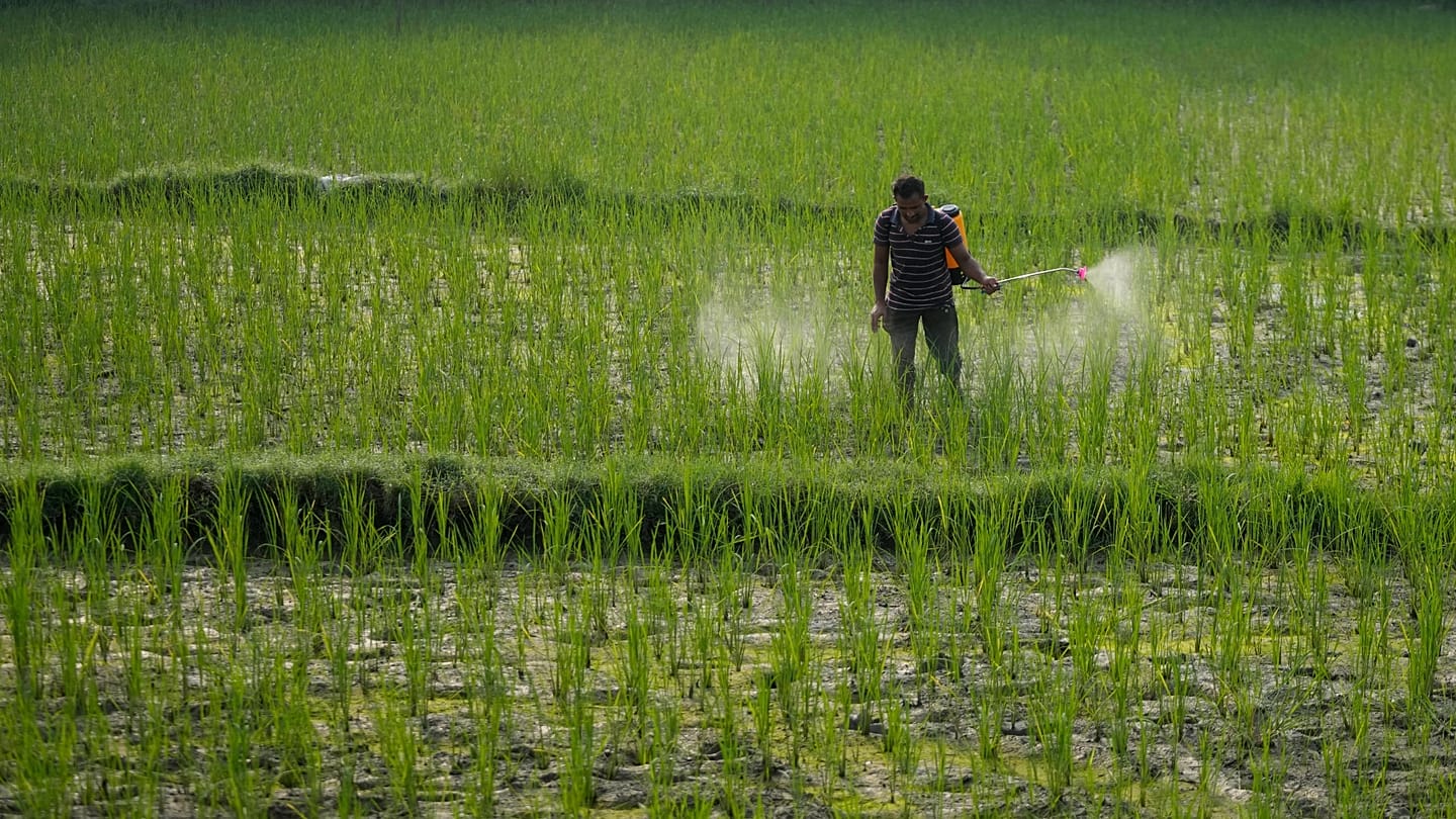Une étude associe l’exposition aux pesticides agricoles au risque de cancer