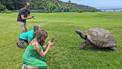 Touristen fotografieren Schildkröte Jonathan auf dem Rasen von Plantation House auf St. Helena im Südatlantik am 22. Februar 2024.