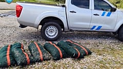 Illegale Fänge beschlagnahmt und auf See aufgearbeitet