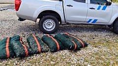 In this photo, sea urchins that were illegally pulled from the sea can be seen in bags. They were later returned to the water.