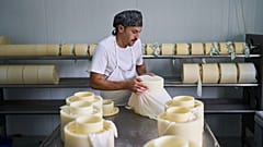 El pastor Álvaro Esteban cura queso en Los Cortijos, Ciudad Real, el viernes 10 de octubre de 2025