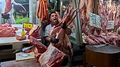 ΕΙΚΟΝΑ ΑΠΟ ΤΗ ΒΑΡΒΑΚΕΙΟ
