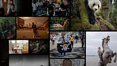 World Press Photo 2026
