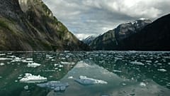 Im Tracy Arm enden zwei Gezeitengletscher; in dem Fjord leben viele Tiere wie Robben und Bären.
