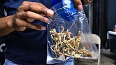 Ein Verkäufer verpackt Psilocybin-Pilze auf einem Pop-up-Cannabis-Markt am 24. Mai 2019. Minneapolis rückt von der Durchsetzung von Gesetzen ab, die psychedelische Pflanzen kriminalisieren.