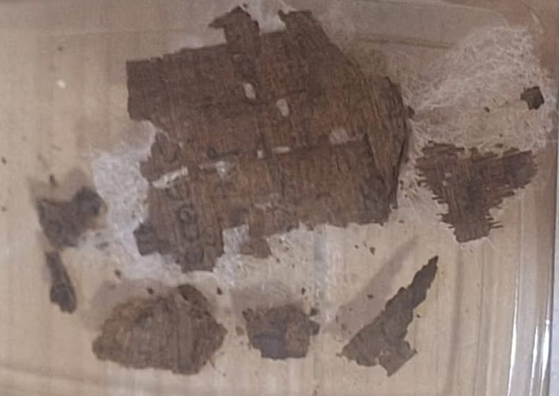 Papiro con fragmentos de la 'Ilíada' de Homero descubierto dentro de una momia de época romana.