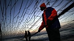 Portuguese fishermen pull their net out of the sea onto the beach near Lisbon, 1 October, 2014