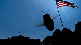 نحلة تحلق فوق البيت الأبيض، يوم السبت 4 أبريل/نيسان 2026، في واشنطن. (صورة من وكالة أسوشيتد برس/جوليا ديماري نيكينسون)