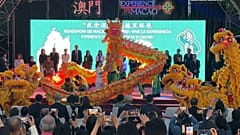 Bild der Löwentanzshow in Macau