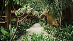 Huts on Thailand's Phi Phi Islands