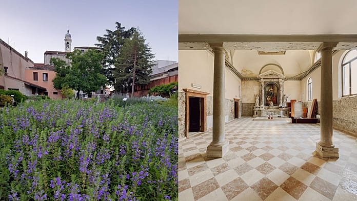 Oases, sonic prayers and nurture: Venice Biennale 2026 invites visitors to slow down