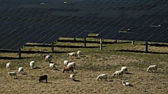 Οι οργανώσεις πράσινης ενέργειας χαιρέτισαν τις προτάσεις, αλλά τονίζουν ότι χρειάζονται συγκεκριμένες μεταρρυθμίσεις για να εφαρμοστούν αποτελεσματικά.