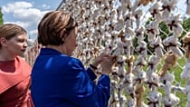 À Washington, 20 000 ours en peluche pour les enfants déportés d’Ukraine