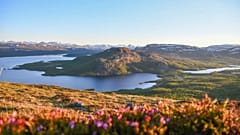 Finlandiya'dan bir görünüm.