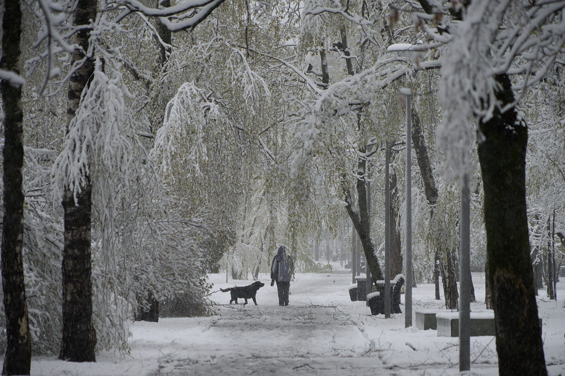 Sous la neige au Bic